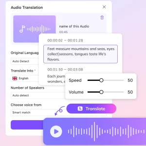 Audio File Language Translation