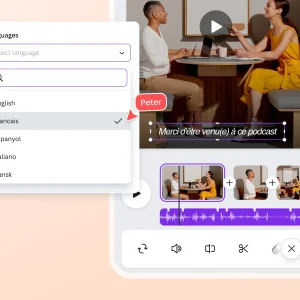 Video Subtitle Language Translation