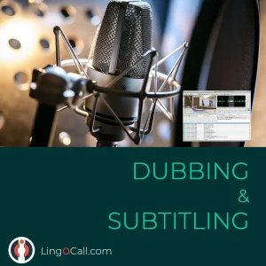 Video Subtitle Dubbing Add